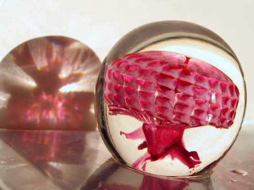 The shadow of a red jellyfish . . . (aka "Glass art made in Haleiwa, Hawaii")