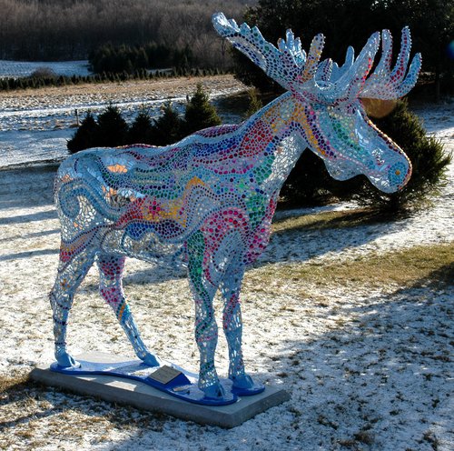 Razzle Dazzle Moose