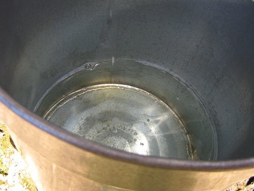Maple syrup - collecting the sap