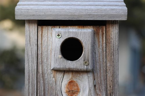 Bluebird House (50mm lens)