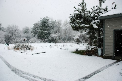 Early Spring Snow Fall
