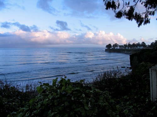 Three views of Cowell's Cove at sunset