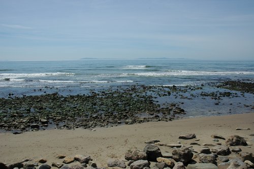 DSC_0233