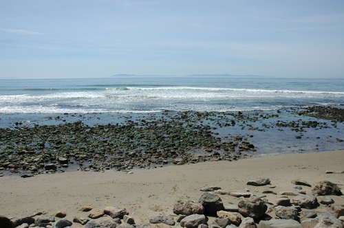 DSC_0234