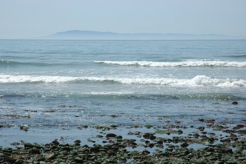 DSC_0235