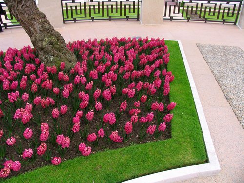 D-Day Monument Gardens