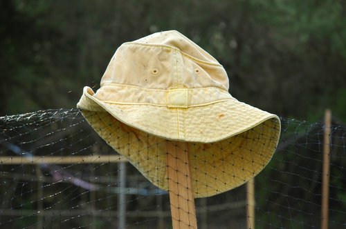 Deer Proof Fence (Hat on the)