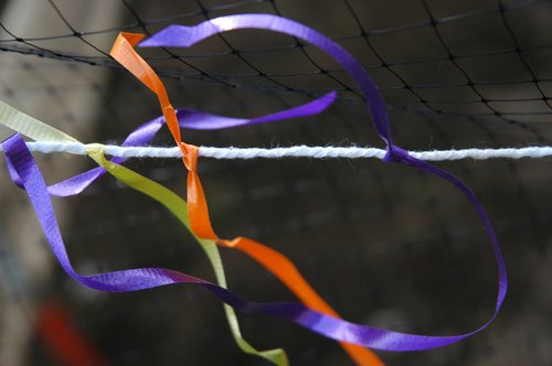 Deer Proof Fence (Ribbons on the)