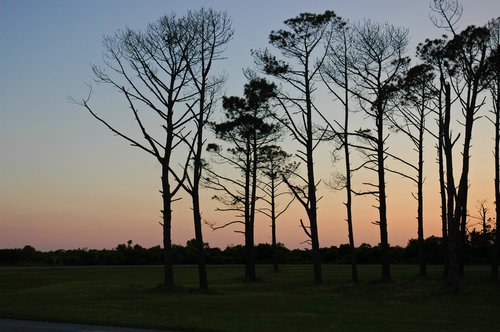The Sunset View
