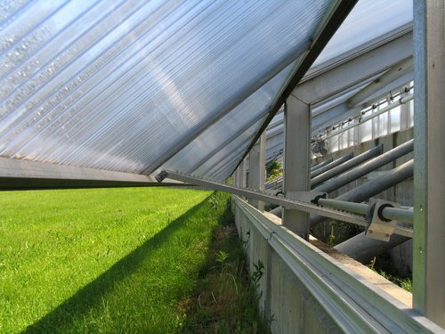Greenhouse Window (Perspective)