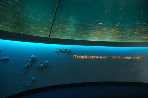 Circular schooling