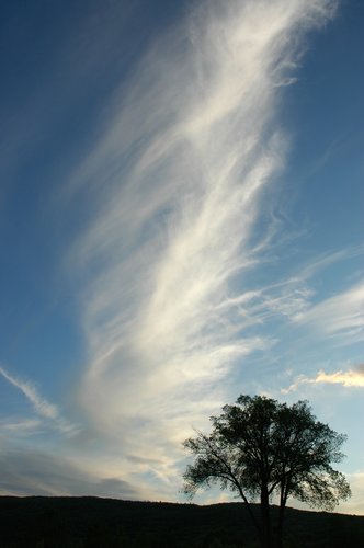 Kripalu Sunset # 10