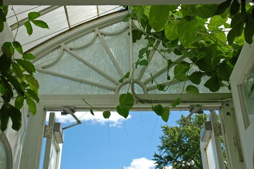 Greenhouse entrance (inside view)