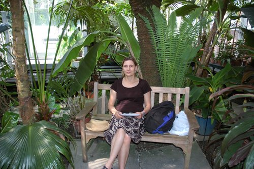Tropical Garden in New England