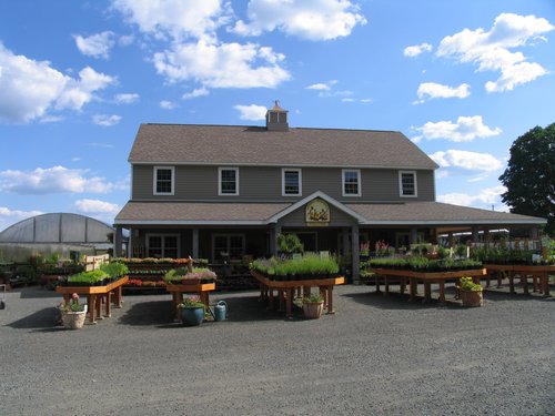 Andrew's Greenhouse
