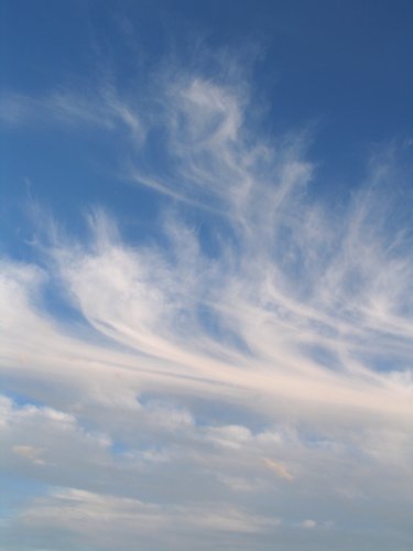 Kripalu Afternoon Sky