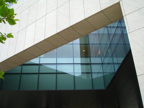 McGovern Institute