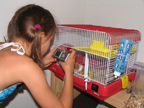 Hamster photographer (and artist)