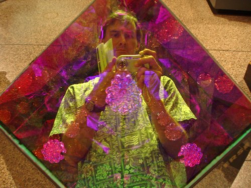 "Orderly Universe" (Self-portrait)