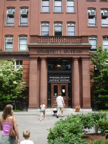 The MCZ (Museum of Comparative Zoology)