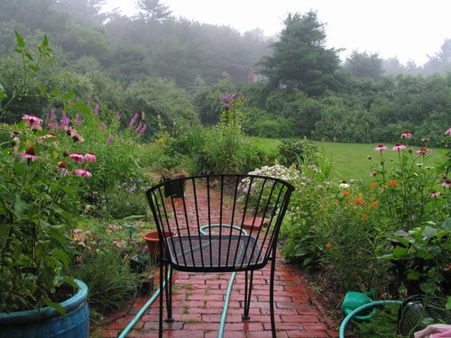 Rainy Evening Garden
