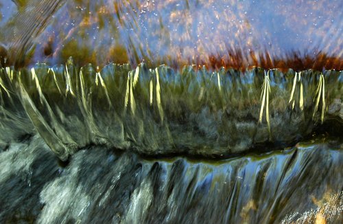Complex Waterfall Reflections