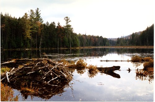 1996-Mud-Pond