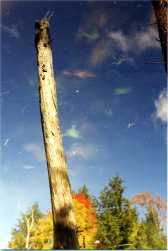1997-Reflected-Pond-Landscape-2