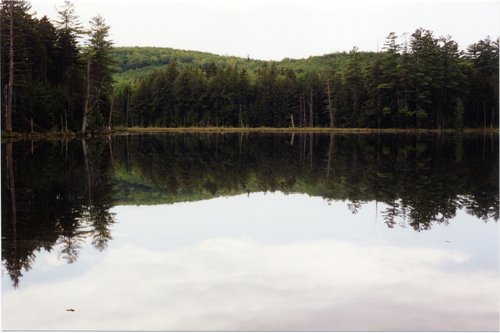 1998-Mud-Pond
