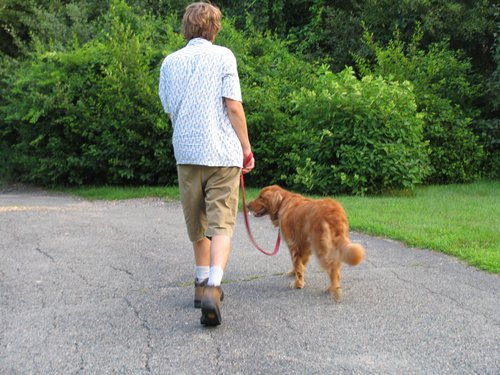 Evening Walk (Reference photo)