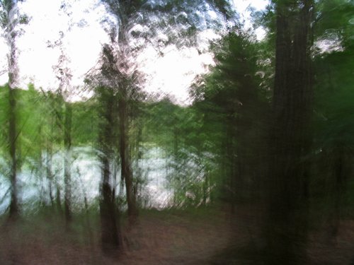 Pond