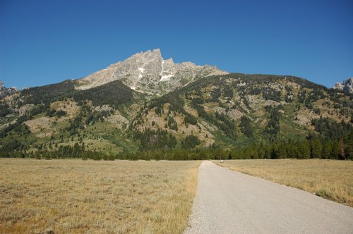 Road to Lupine Meadows