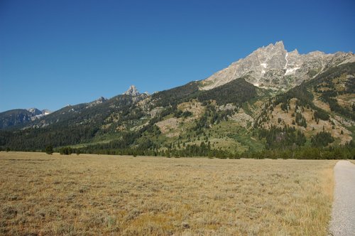 Road to Lupine Meadows