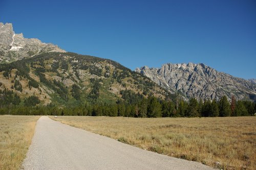 Road to Lupine Meadows