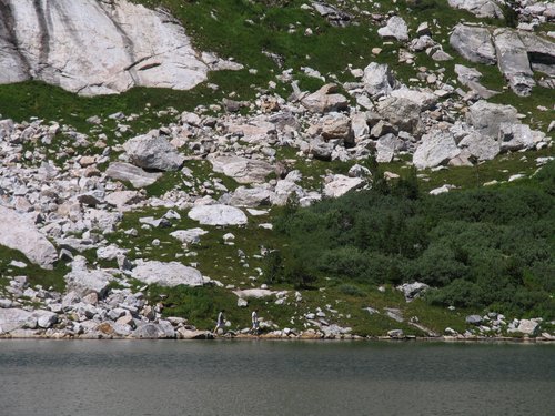 The Amphitheater (full zoom in)