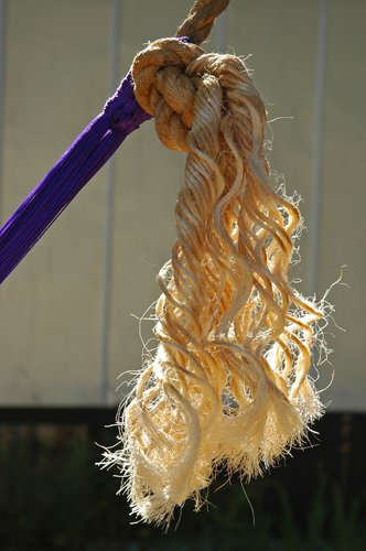 Purple Hammock