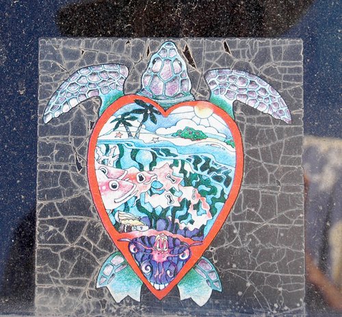 Turtle Design (Detail)