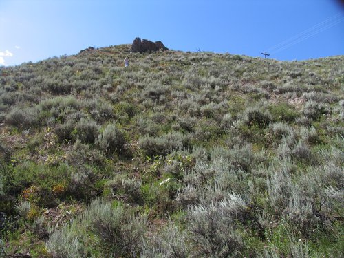 Hoback River Valley