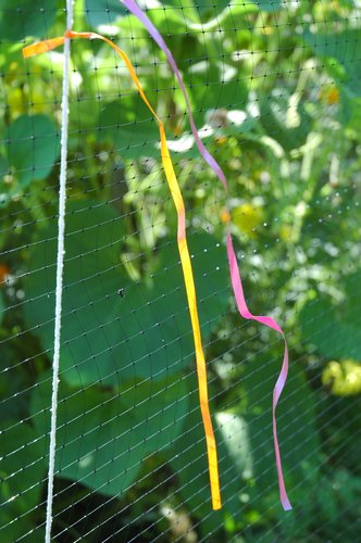 Garden Ribbons and Net