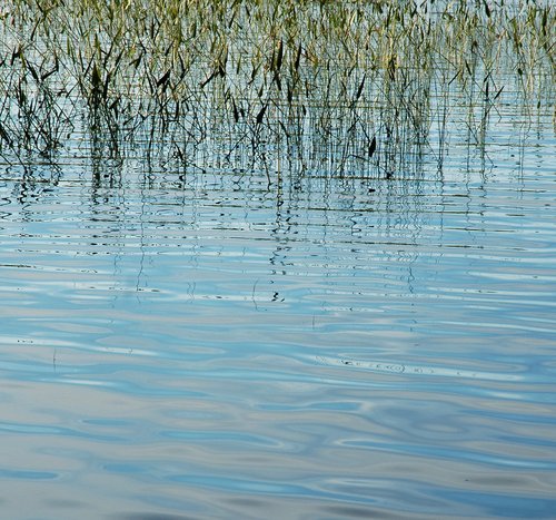 Reed Reflection