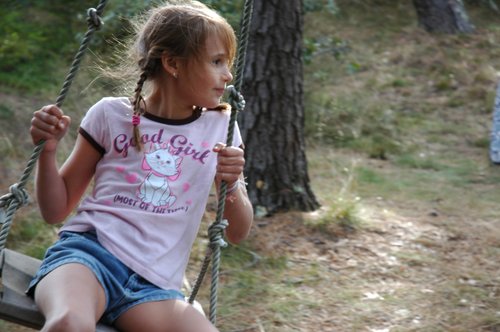 Tree Swing