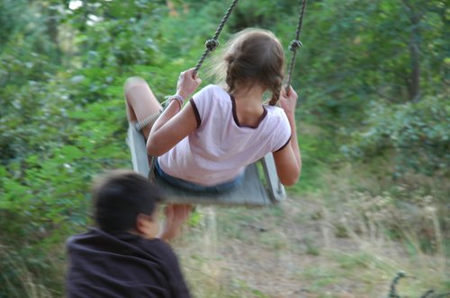 Tree Swing