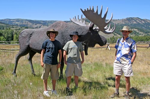 Camp Davis Moose