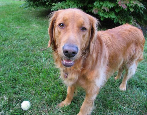 Aren't you going to throw that ball?