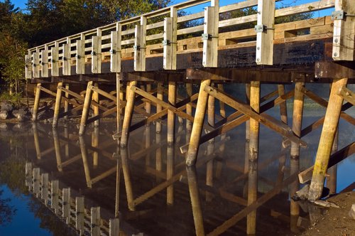 White Balance Error (after ACR processing)