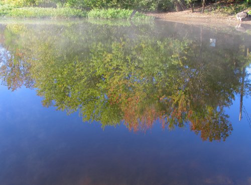 Reflection, Color Study