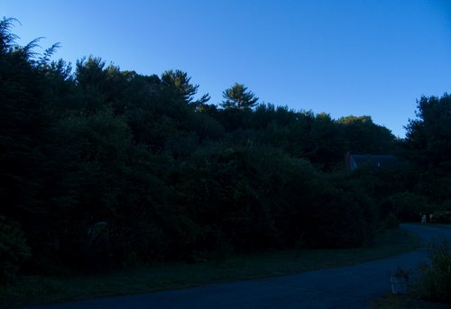 Blue Sky Morning