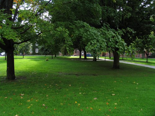 Views of The Quad