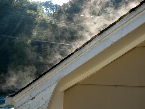 Steam (in morning light)