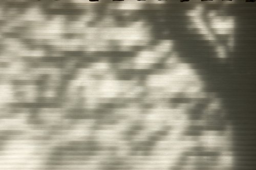Blind Shadows